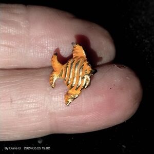 Gold Goldfish Pin